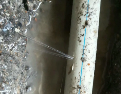 长汀测漏水哪家好