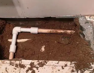 长汀测漏水哪家好