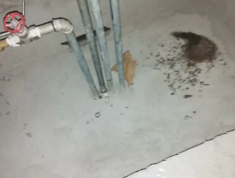 长汀卫生间测漏水价格明细