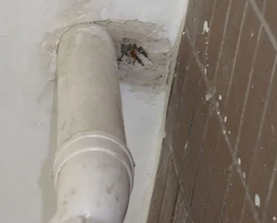 长汀漏水检测哪家好